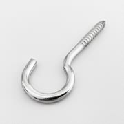 Hook Screw